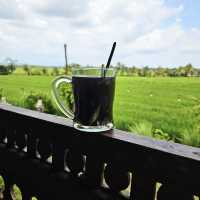 Enjoy a coffee with paddy field view