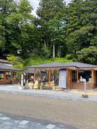 日光一日行程推介‼️走訪多個神社⛩️近距離欣賞男體山🤭