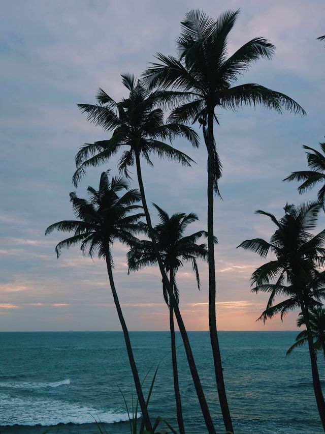 Beaches of Southern Province, Sri Lanka🌴🇱🇰