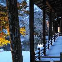 雪裡遊玩😆千光寺