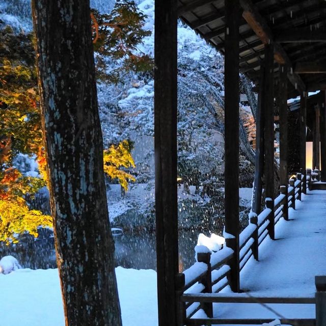 雪裡遊玩😆千光寺