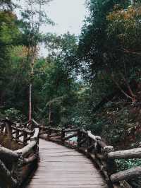 น้ำตกแจ้ซ้อน 💦⛰️🌳