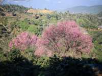 บ้านปางขอน จ.เชียงราย
