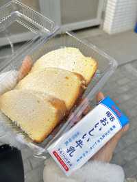 일본에서 핫한 치즈케이크 추천🍰🧀