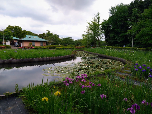 Sodegaura Park