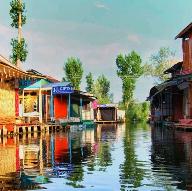 Dal Lake  Srinagar 