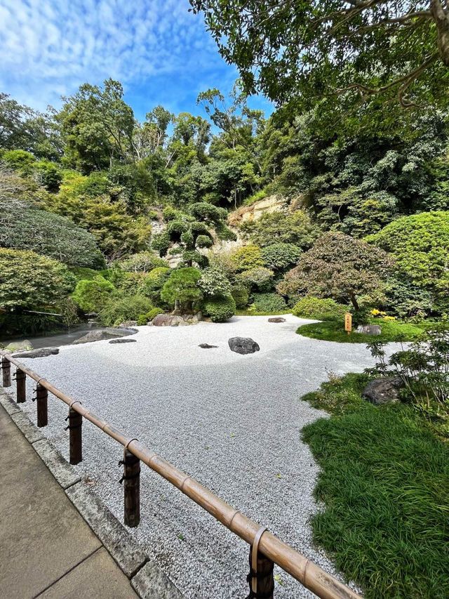 【神奈川】京都じゃないよ！心安らぐ竹の庭🎋
