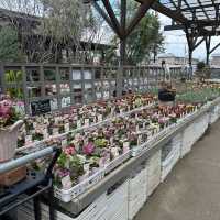 植物園！？素敵すぎる園芸ショップ！