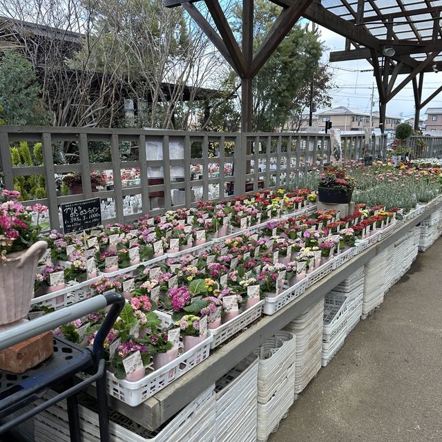 植物園！？素敵すぎる園芸ショップ！