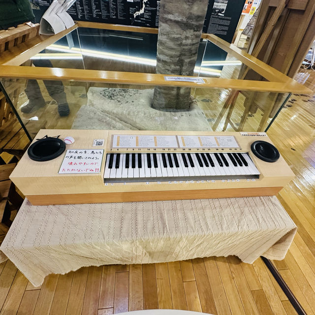 知床世界遺產中心（知床世界遺産センター）