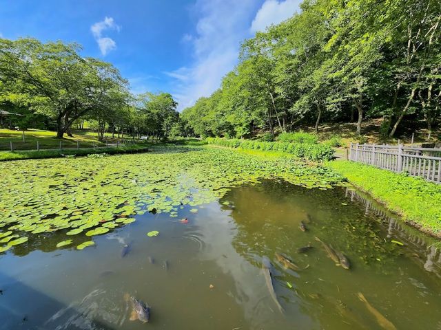 Municipal Kitayama Park