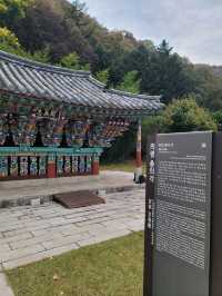 외국여행객들도 찾는 경남여행코스로 추천해요✨️