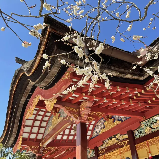 【Fukuoka】Plum Seed Offering at Dazaifu Tenmangu Shrine