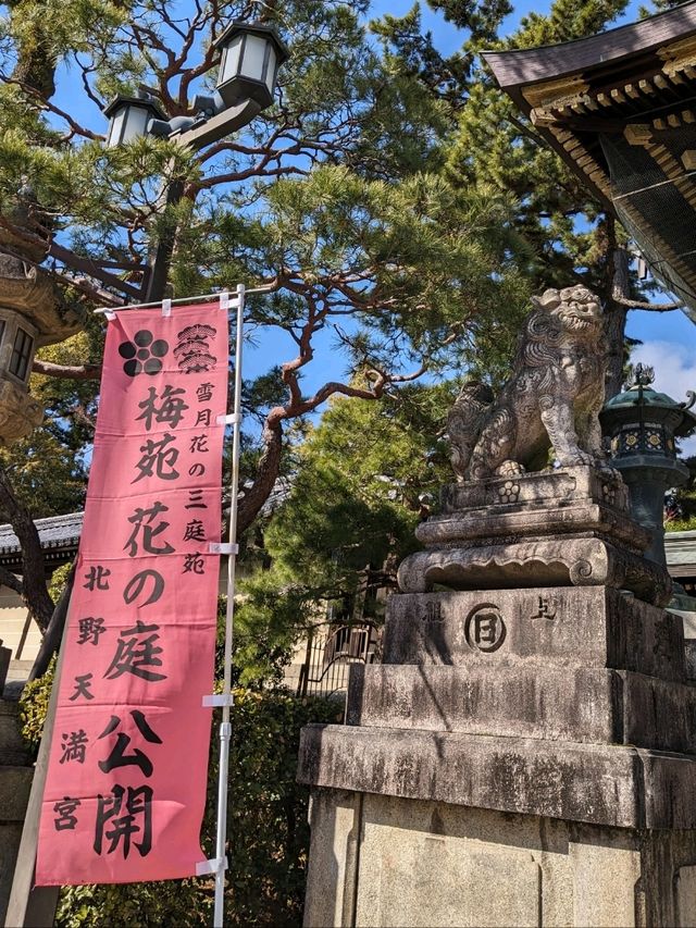 北野天満宮【北野の花手水】撫で牛の両脇の生花が華やかで綺麗
