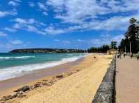Manly Beach