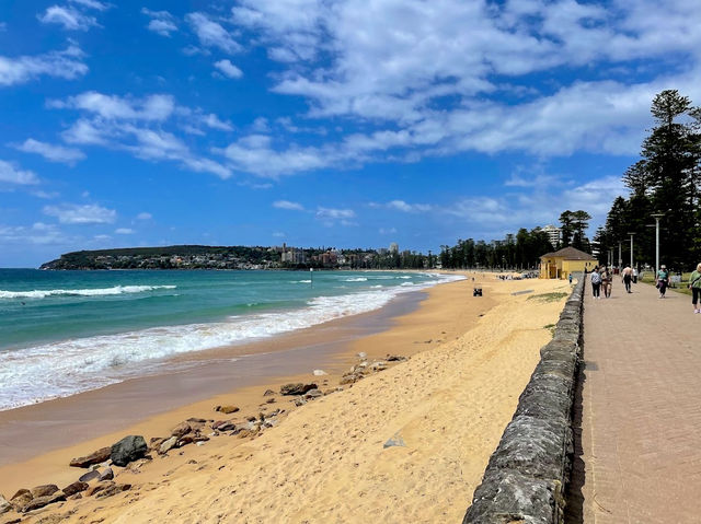 Manly Beach