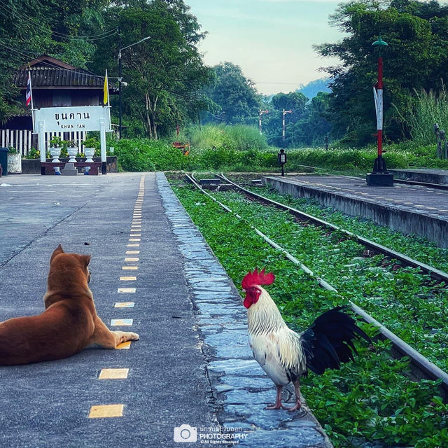 อุโมงค์รถไฟขุนตาน