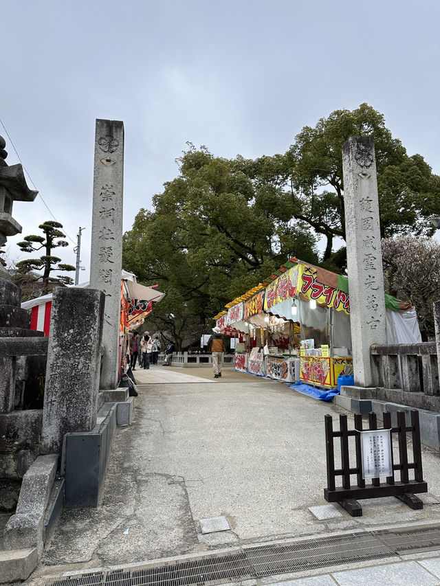 梅が綺麗に咲く福岡の太宰府天満宮