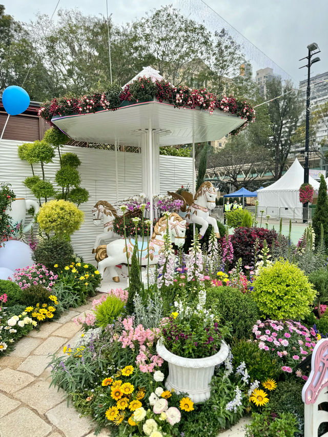 香港也有超美向日葵花海 香港花卉展覽2024