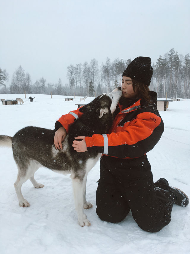 芬蘭🇫🇮|進入童話世界坐鹿車見聖誕老人🎅🏻