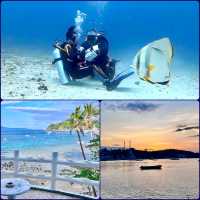 Dive into Paradise: why take a scuba dive course in Philippines 🐠