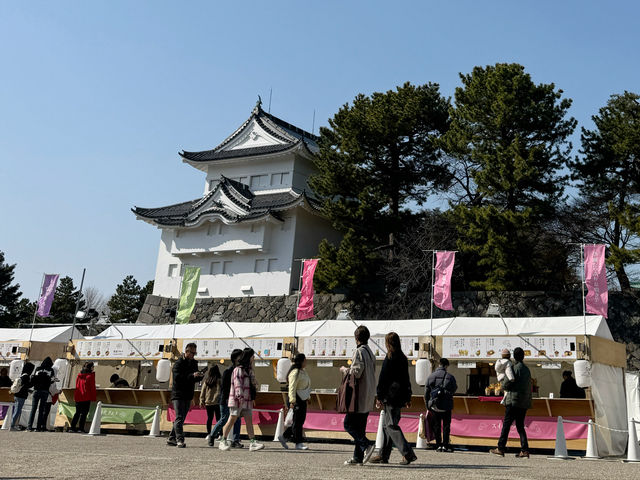 櫻花季限定!名古屋城春日祭  櫻花季限定!名古屋城春日祭