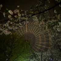 華蔵寺公園