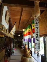 【山口】猫好きさん必見！猫だらけのお寺♡