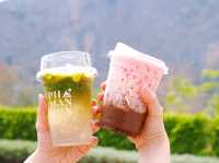 คาเฟ่สวยพิกัดภูผาม่าน