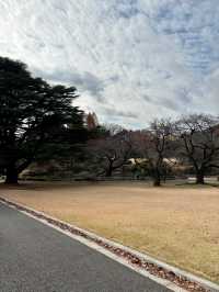 Shinjuku Gyoen National Garden