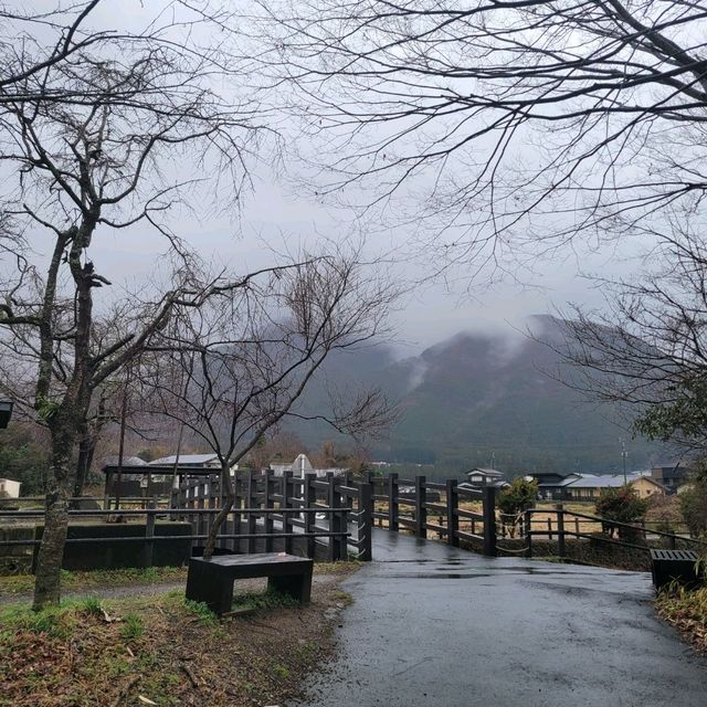 후쿠오카 여행 시 필수인 유후인🏔