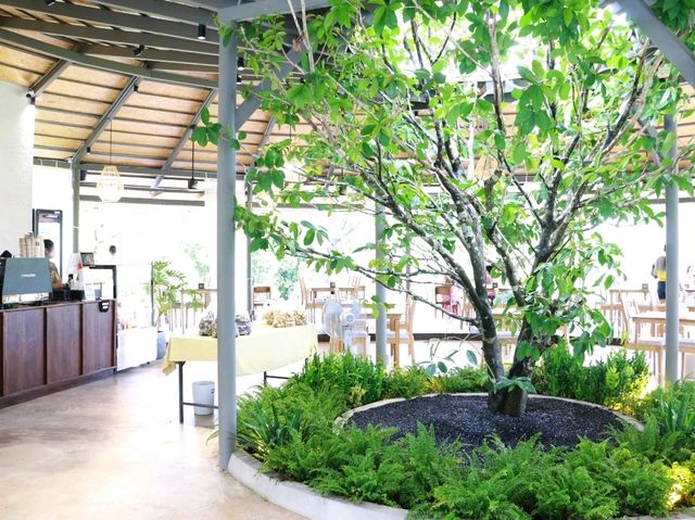 คาเฟ่เปิดใหม่ เกื้อ คาเฟ่