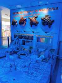 Turtle Conservation Alor Gajah 