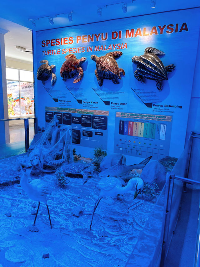Turtle Conservation Alor Gajah 