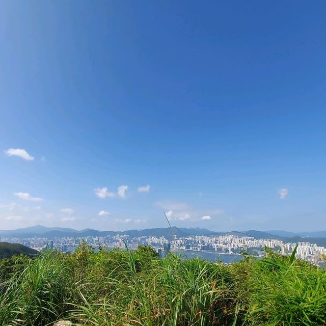 香港山峰⛰-畢拿山🏞🪵🏙