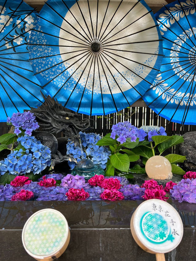 【東京】可愛すぎるあじさい寺