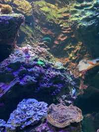 香川　日帰り旅行にオススメ！水族館