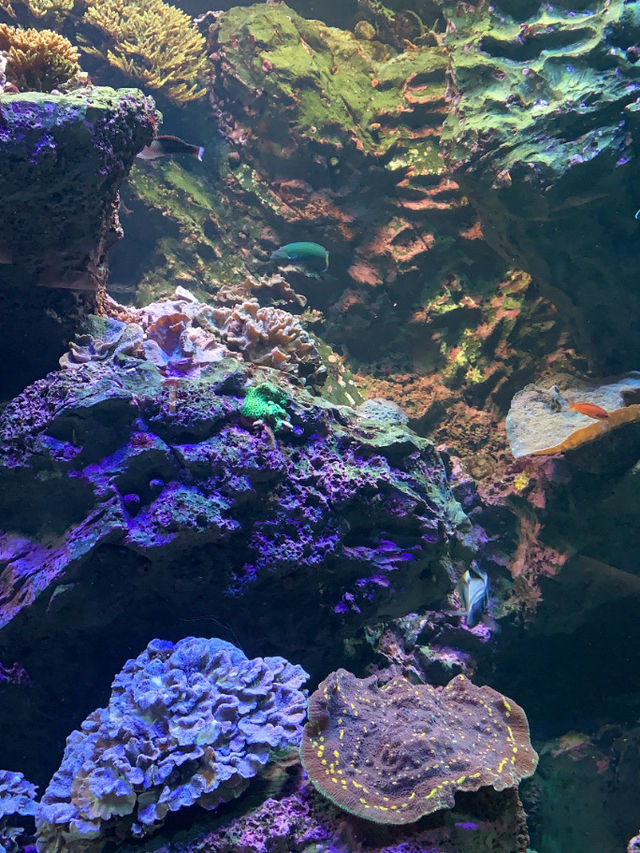 香川　日帰り旅行にオススメ！水族館