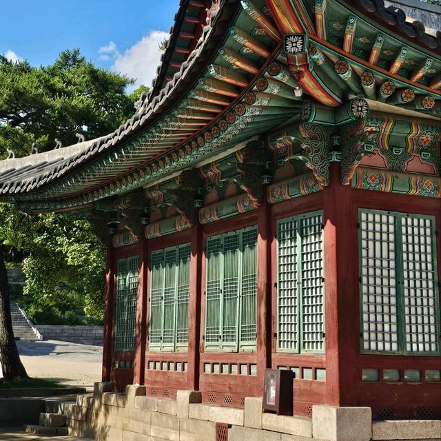 조선왕실의 별궁 창경궁 + 고궁&숲&연못 산책🖼