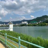 🌿 대구 수성못: 도시 속의 청정 오아시스 🌸