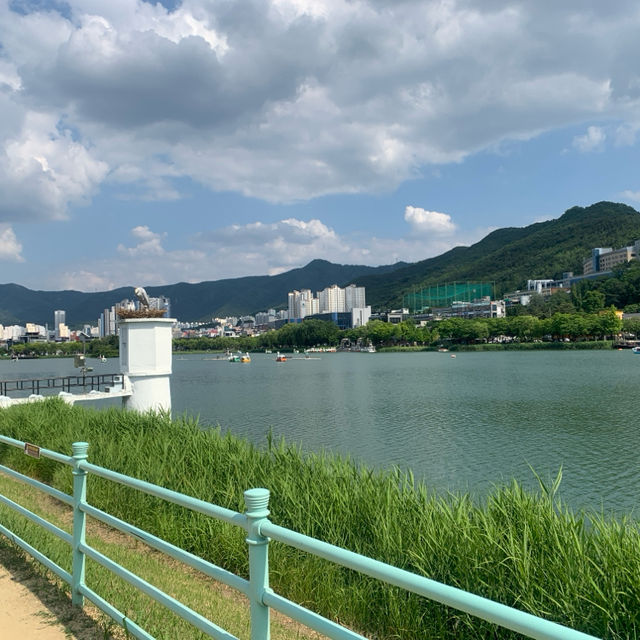 🌿 대구 수성못: 도시 속의 청정 오아시스 🌸