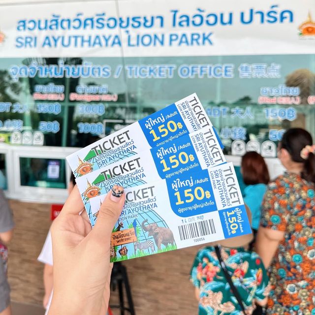 สวนสัตว์ใกล้กรุงเทพ ศรีอยุธยา ไลอ้อน ปาร์ค 