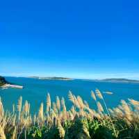 墾丁國家公園：山海奇景