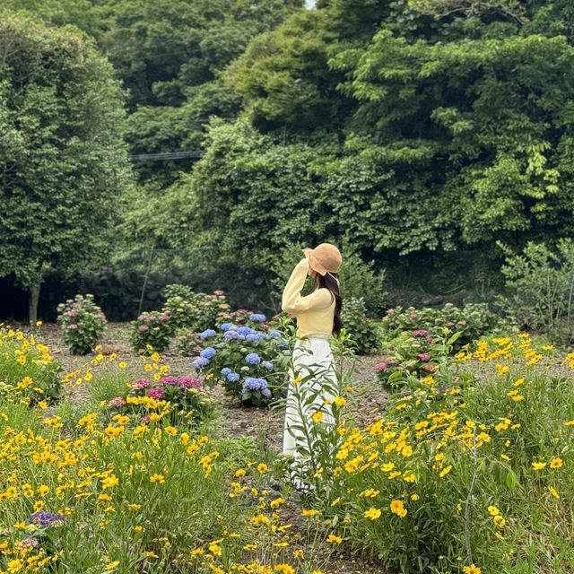 비케이브에 방문하신다면 인생샷 무조건 보장이에용 💜 