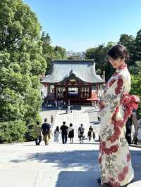 〜神奈川県〜紫陽花手水が綺麗すぎ✨神奈川最強のパワスポ！