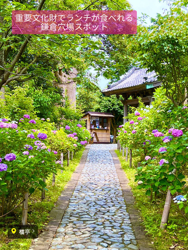 〜神奈川県〜秘密にしてた鎌倉穴場スポット🍽️重要文化財で贅沢ランチ🍽️