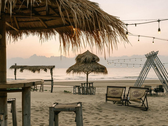 Demi Beach Concept