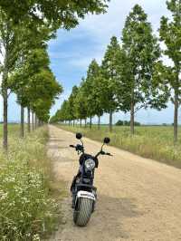 대부도 가면 꼭 타야할 바다향기 테마파크 전동바이크 🏍️