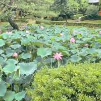 江陵の観光名所「烏竹軒」【韓国・江陵】