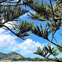 🌴 Lord Howe Island: A Hidden Paradise 🌴